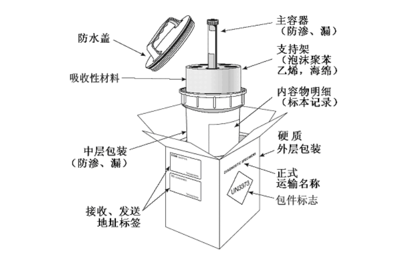 菠萝TV官网入口病源微生物運輸